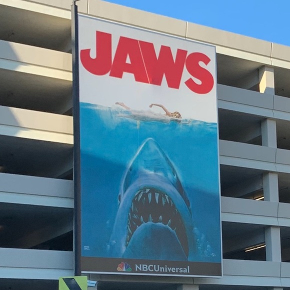 Meet your Posher, Tommy - Picture 1 of 1